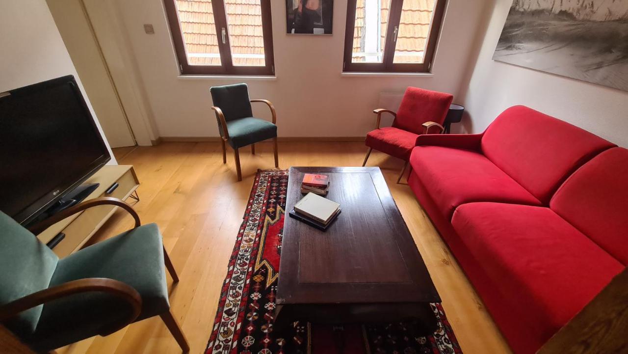 Selestat Entre Colmar Et Strasbourg Apartment Luaran gambar
