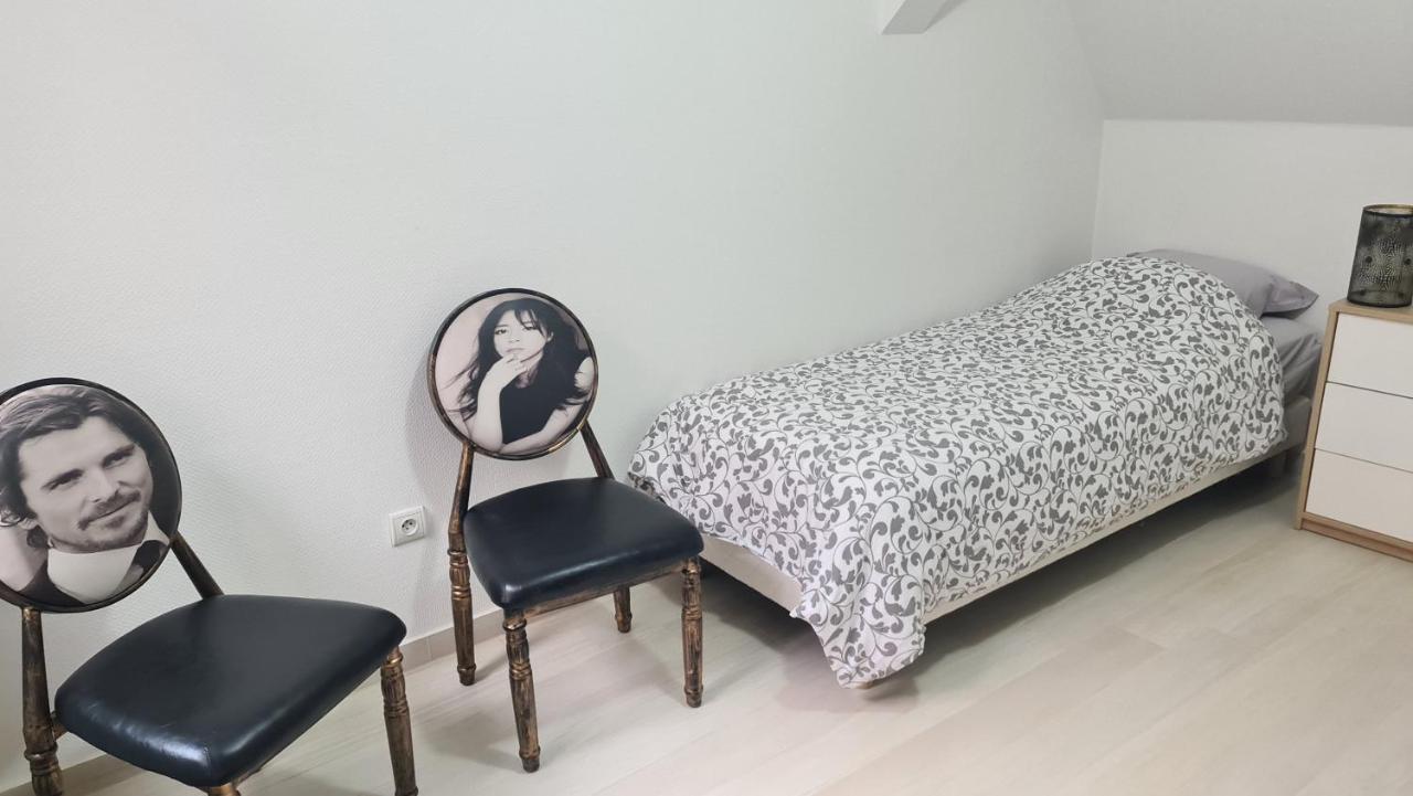 Selestat Entre Colmar Et Strasbourg Apartment Luaran gambar
