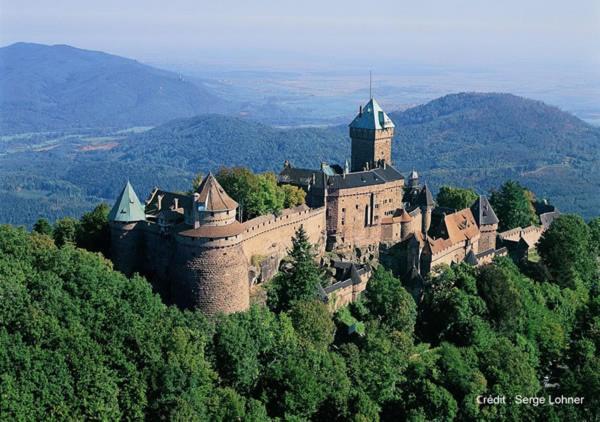 Selestat Entre Colmar Et Strasbourg Apartment Luaran gambar